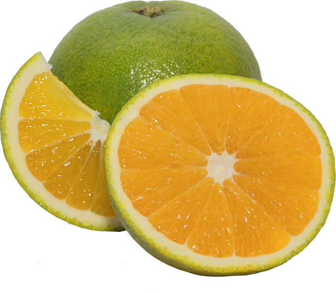 Imagen propiedades Naranja